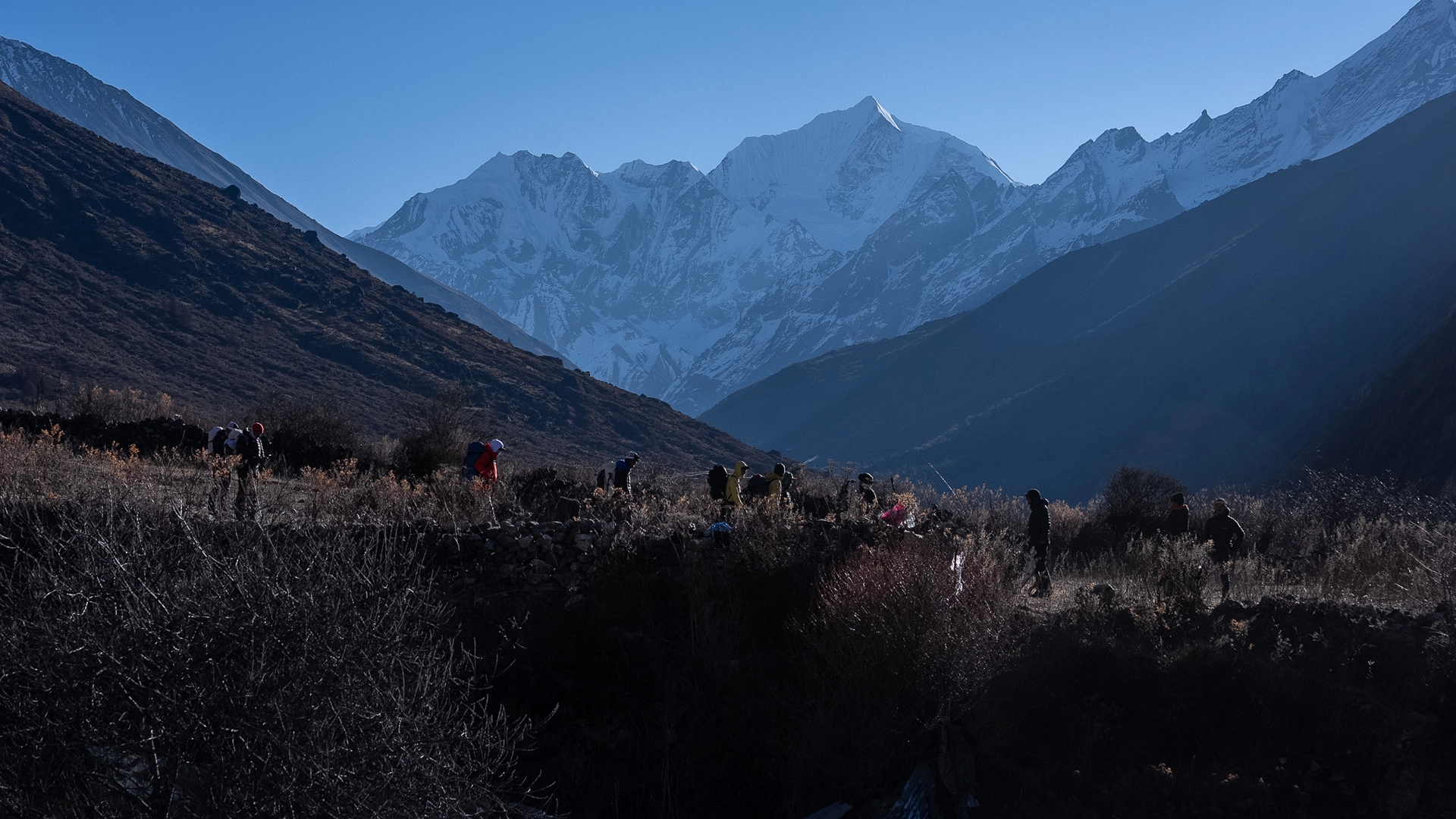 Langtang Valley Trek