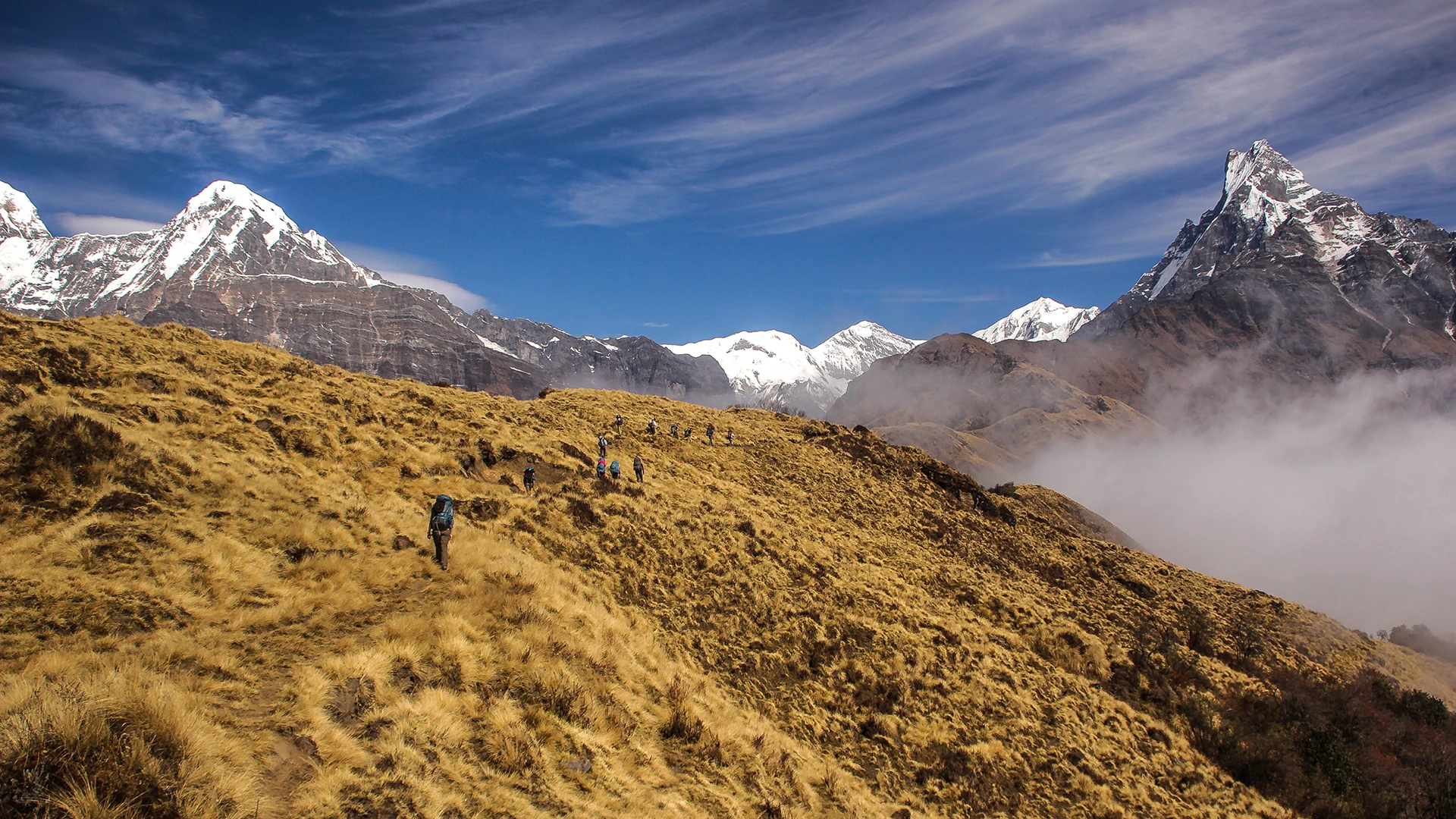 Mardi Himal Base Camp Trek