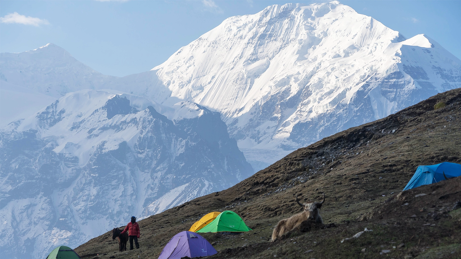 Nar Phu & Annapurna Circuit Trek