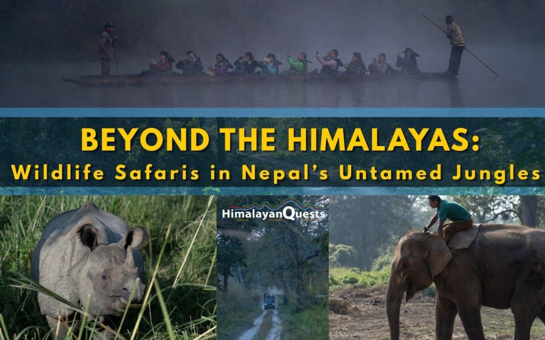 Beyond the Himalayas: Wildlife Safaris in Nepal’s Untamed Jungles