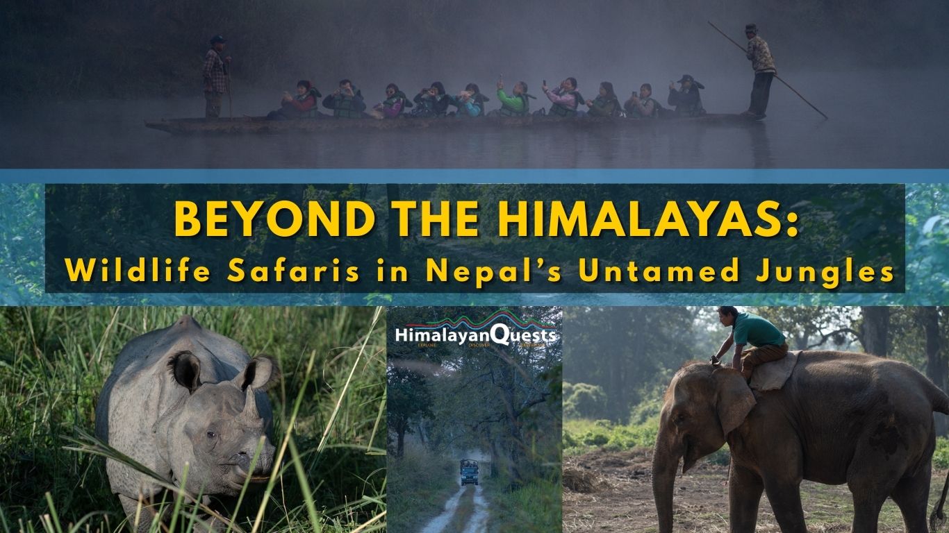 Wildlife Safaris in Nepal: Beyond the Himalayas