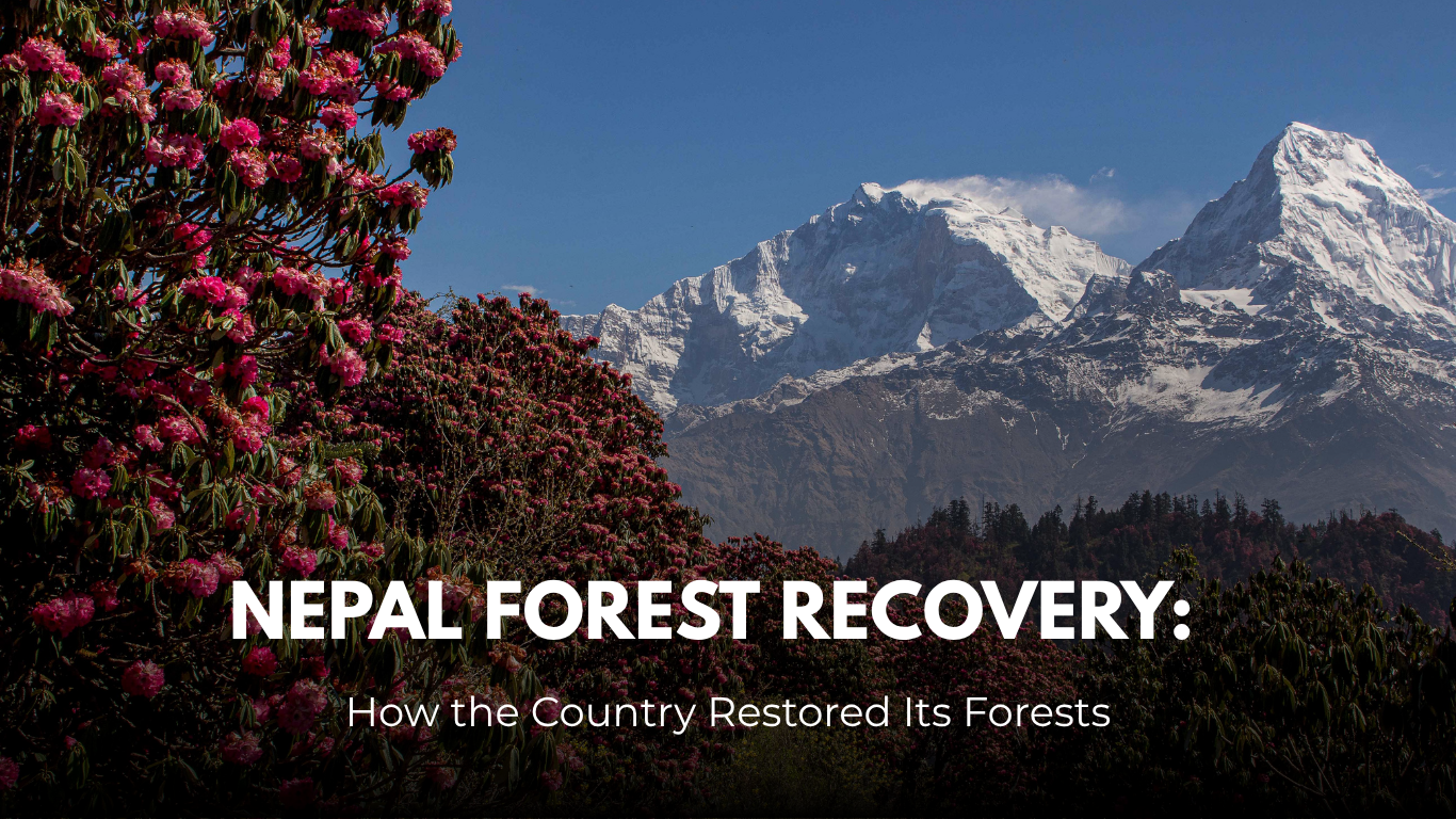 Nepal Forest Recovery: The Remarkable Story of Forest Restoration Nepal Forest Recovery: The Remarkable Story of Forest Restoration