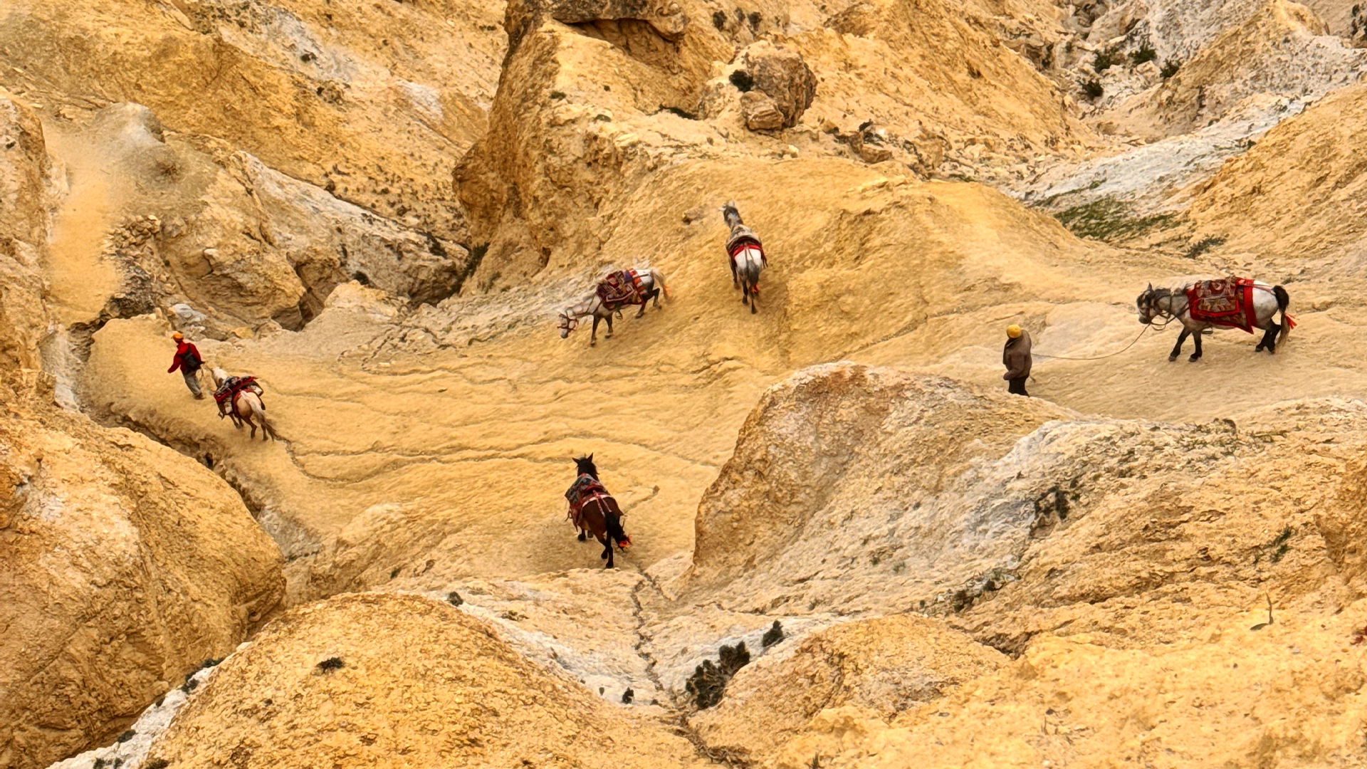 Upper Mustang Trek