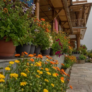 teahouse and homesteads in Nepal